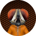 BitGnat avatar