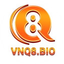 vnq8casino avatar