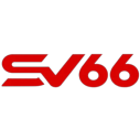 sv66voto avatar