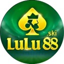 lulu88ski avatar