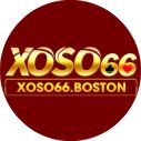 xoso66boston avatar