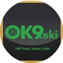 ok9ski avatar