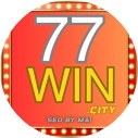 77wincity avatar