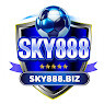 sky888biz avatar