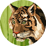 yShadowTiger avatar