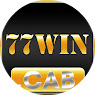 77wincab avatar